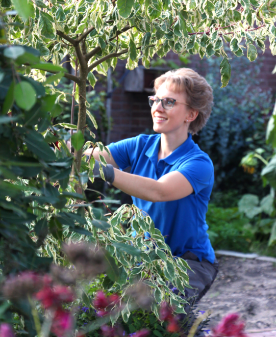 Foto lachend boom 730 a